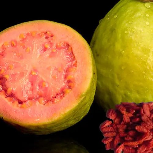 Fragancia Guayaba Goji 60 ml - Imagen 2