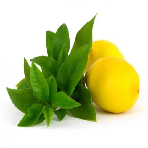 Fragancia Verbena Lemon 60 ml - Imagen 2