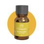 Chakra Manipura (Plexo Solar) — MyLottush