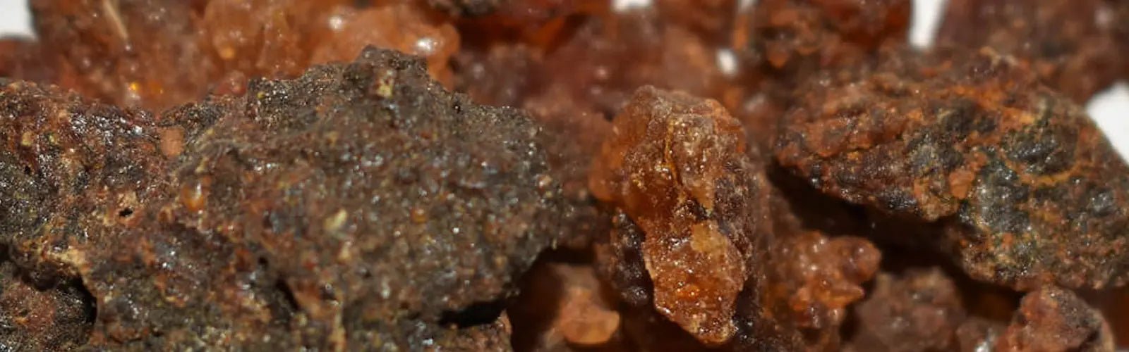 Beneficios del Aceite de Mirra