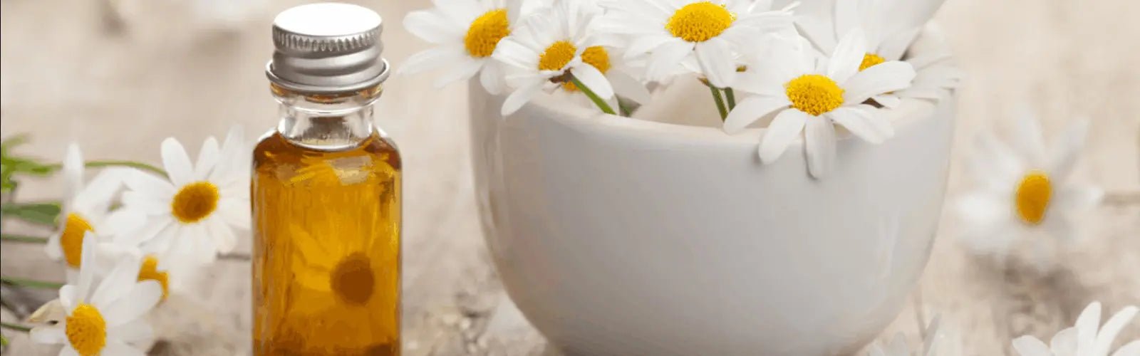 Beneficios del Aceite Esencial de Manzanilla Romana
