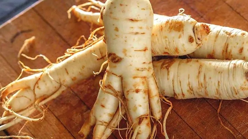 Beneficios del Ginseng