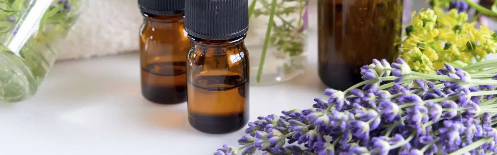 Características Importantes de los Aceites Esenciales