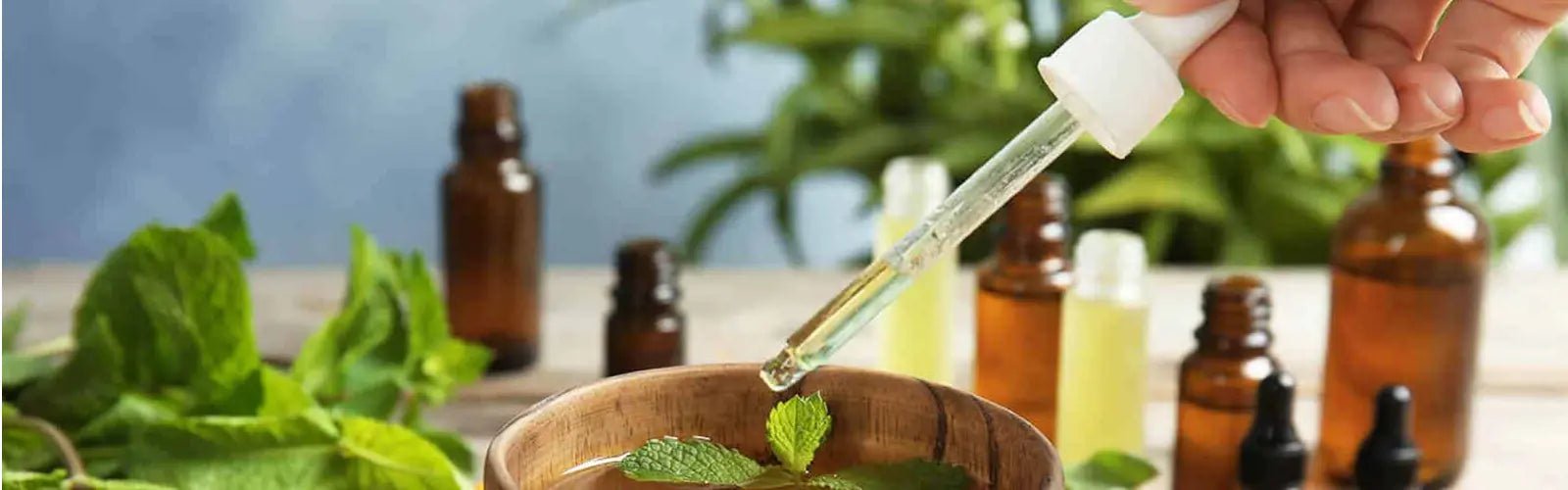 Contraindicaciones de los Aceites Esenciales