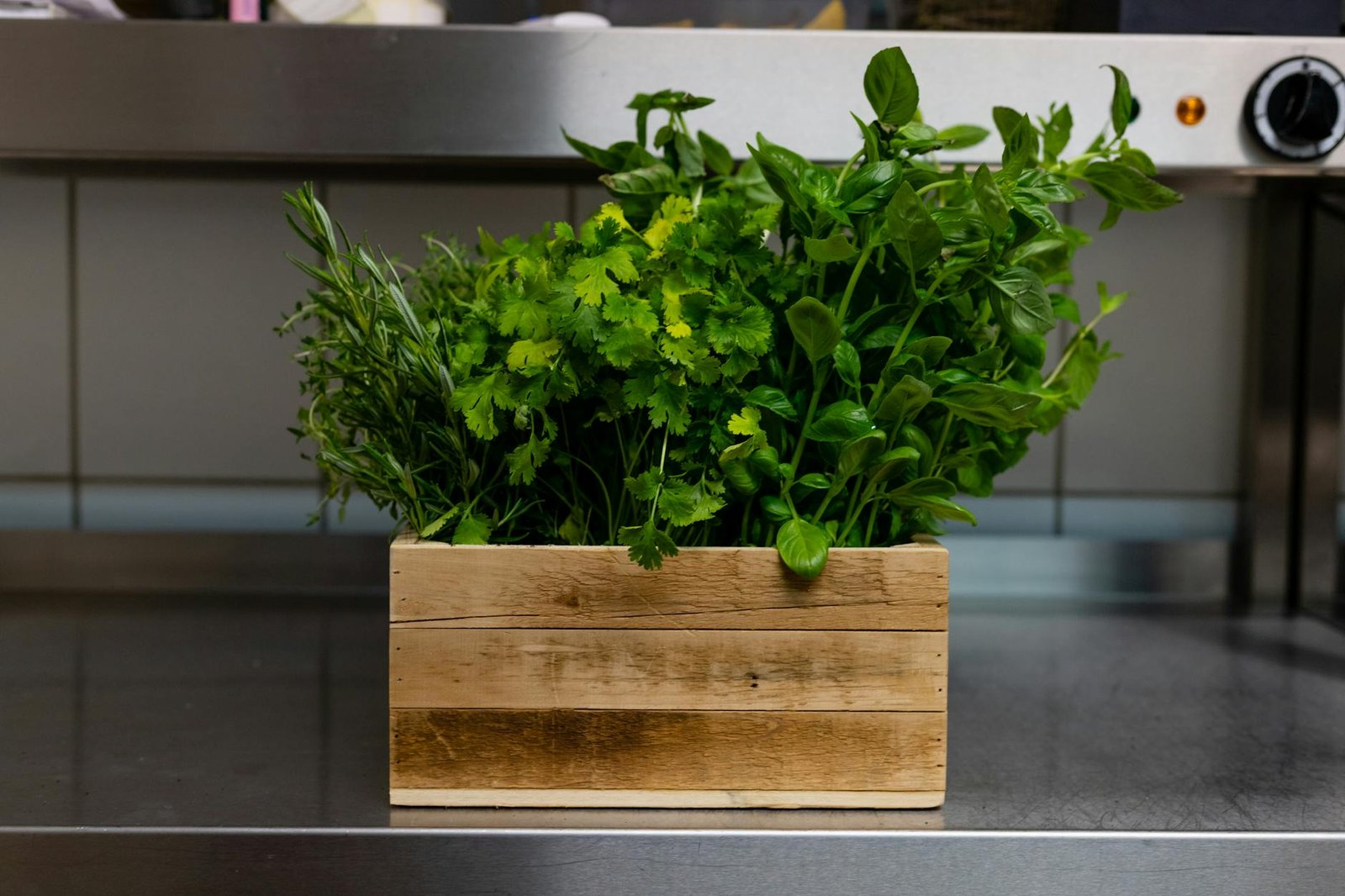 Extractos Naturales en la Cocina: La Guía Completa para Saborizar con la Naturaleza