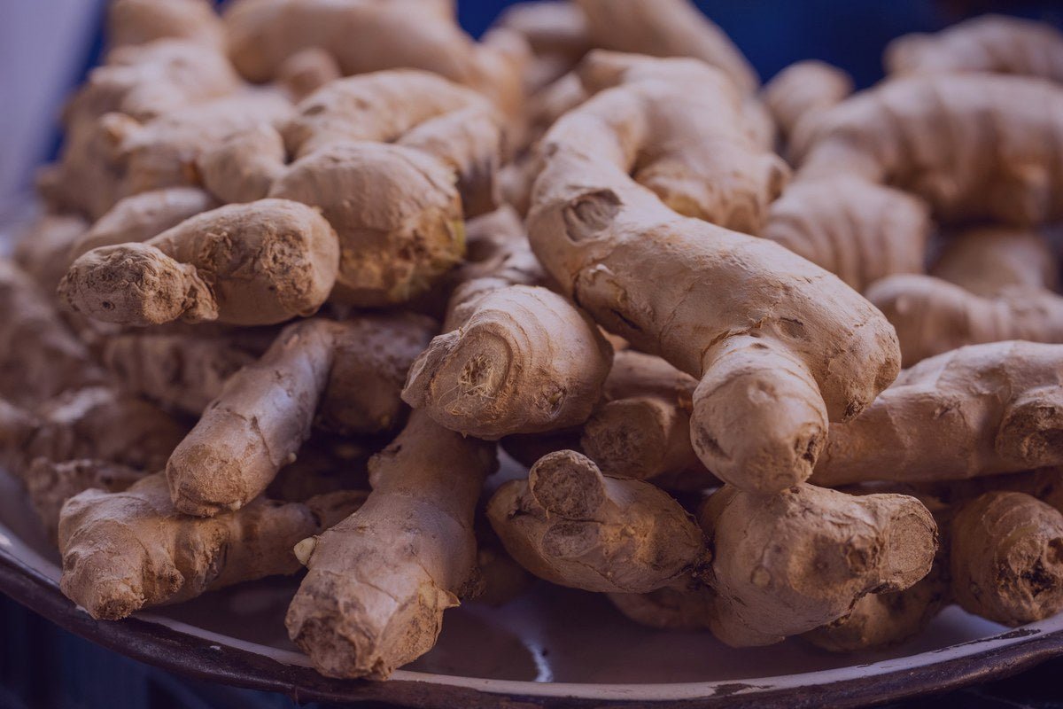 Ginseng
