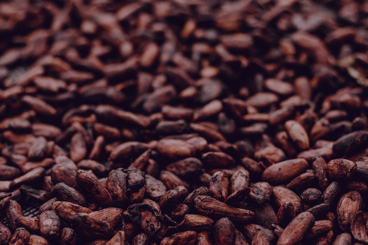 Haba Tonka (Tonka Bean)