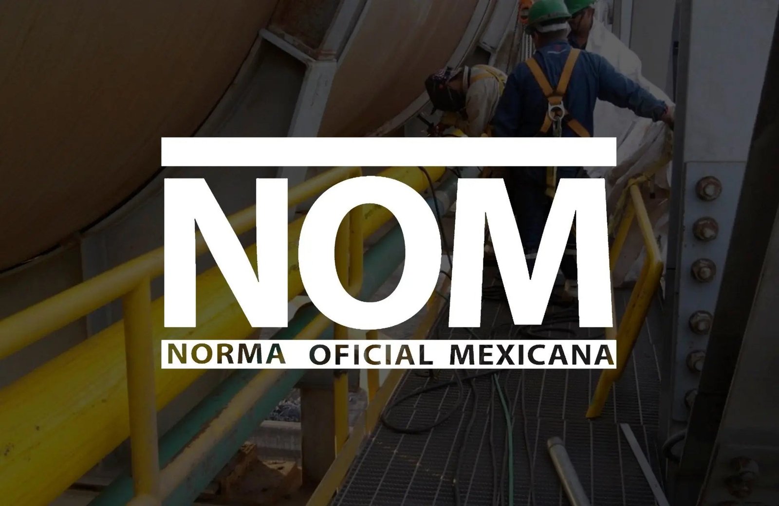 NORMA Oficial Mexicana NOM-141-SSA1/SCFI-2012