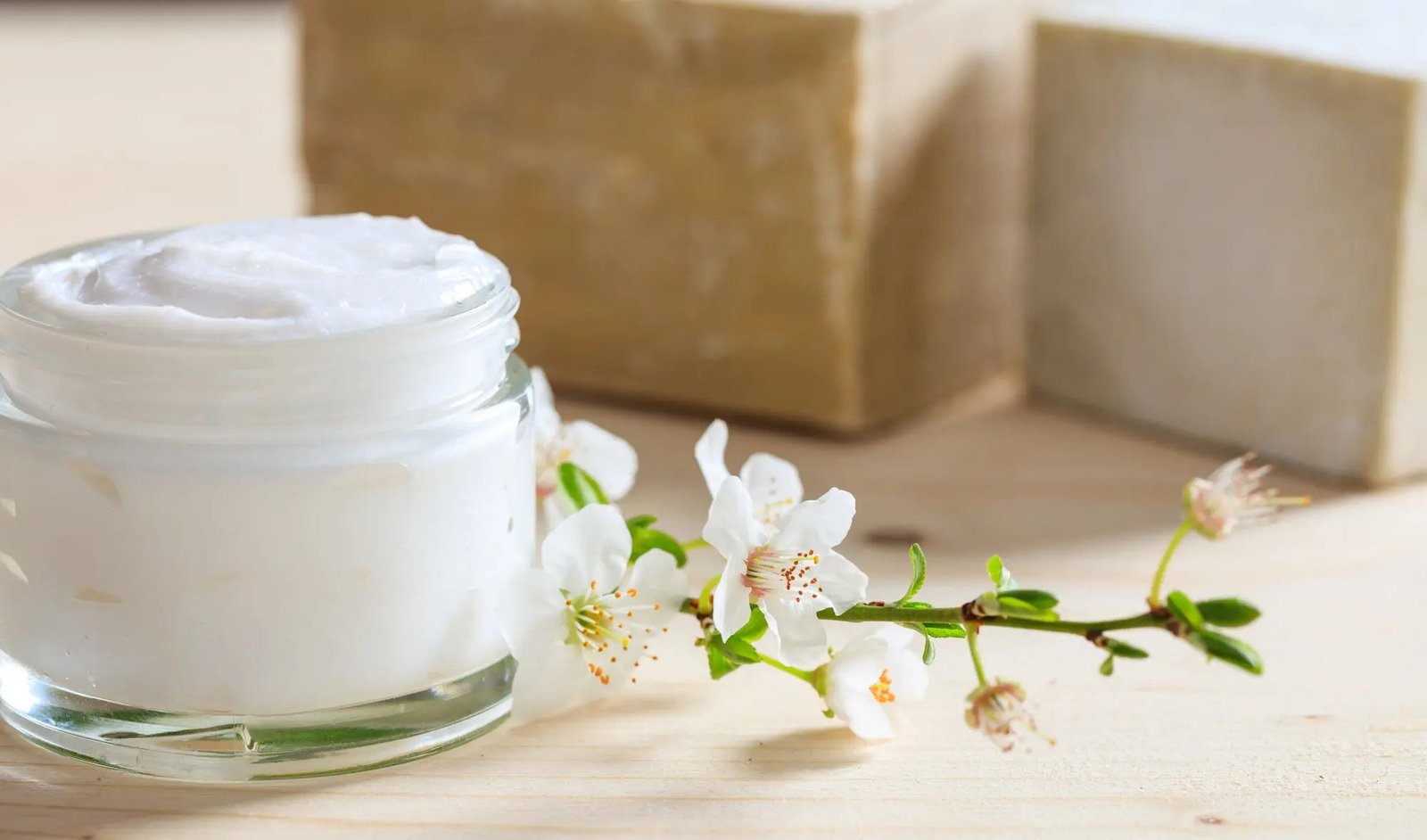 ¿Qué son los emulsificantes y solubilizantes?
