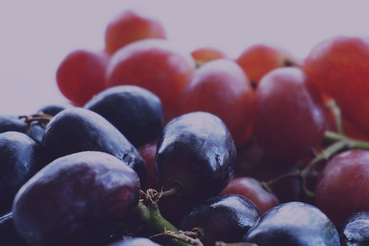 Resveratrol