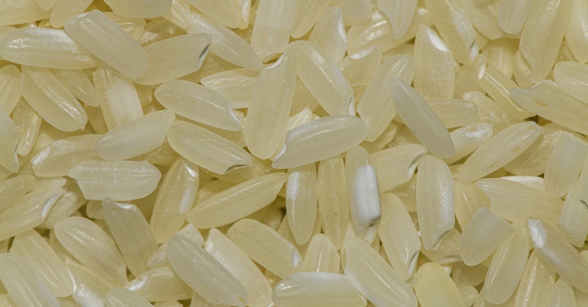 El secreto milenario del arroz para una piel luminosa desde adentro