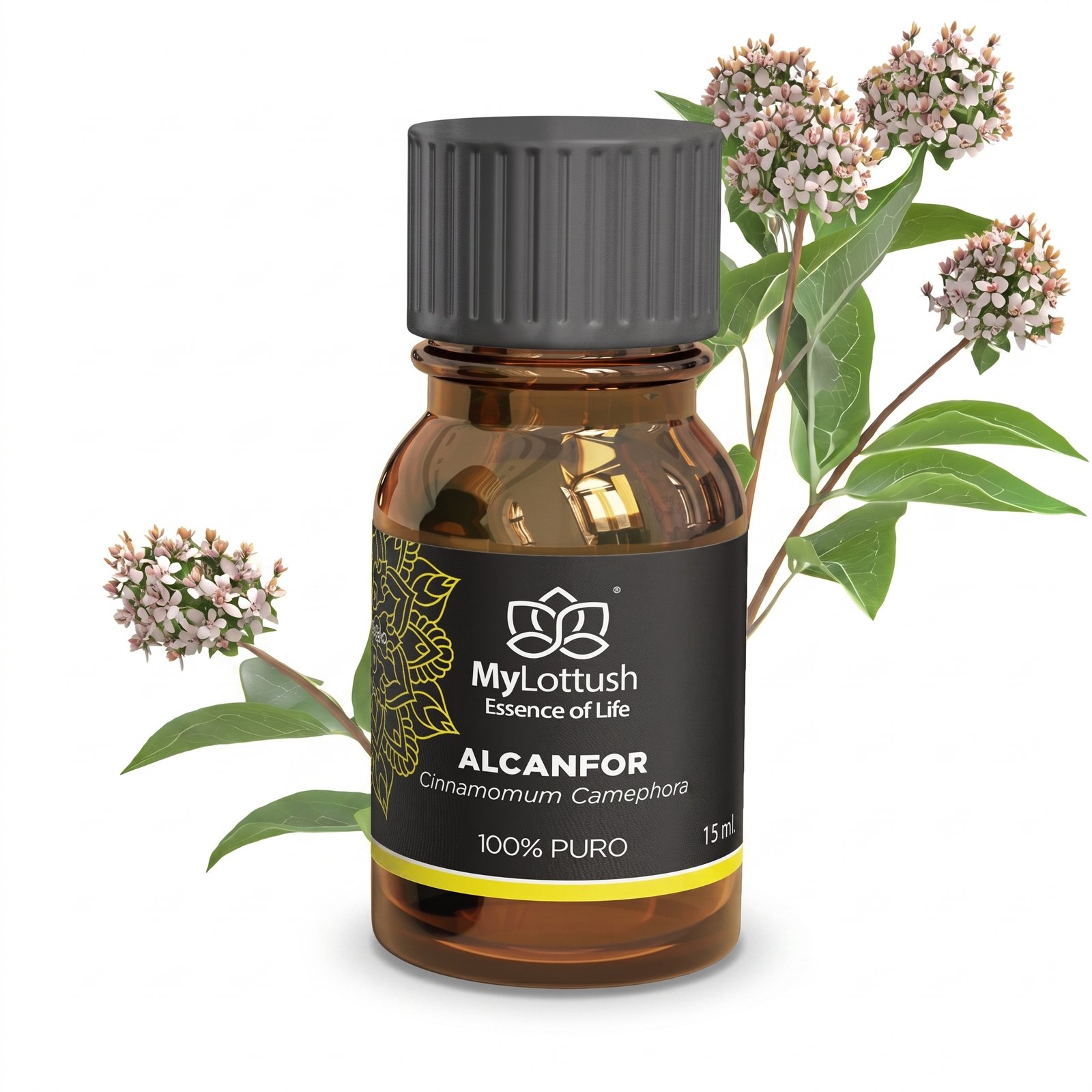 Aceite Esencial de Alcanfor (Ravintsara)