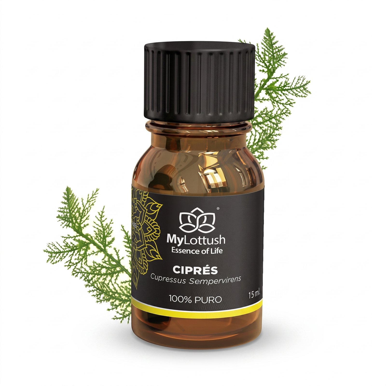 Aceite Esencial de Ciprés